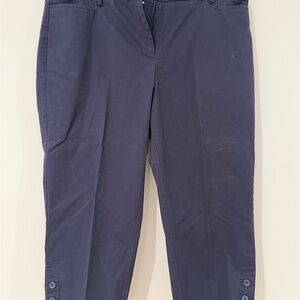 Talbots Navy 'Perfect Skimmer' Cropped Pants